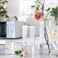 Transparent Gold-painted Glass Vases - Sustainable Living